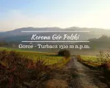 Poranna mgła otula malowniczy krajobraz z Koninek. Droga prowadzi w stronę Turbacza, jednego z wierzchołków Korony Gór Polski.