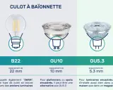 Tableau comparatif des culots d'ampoules LED : E14, E27, B22, GU10, GU5.3, G4, G9.