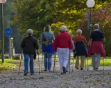 Grupa osób uprawia nordic walking. To świetna forma aktywności, choć ma swoje zalety i wady.