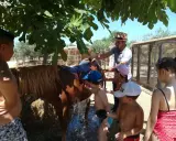 Children and a man wash a brown horse under a fig tree at a farm.