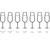 Ilustración de varios tipos de copas de champagne, cada una con su nivel de dulzor indicado.