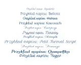 Przykłady napisów z polskimi znakami w różnych czcionkach, idealne do Worda.