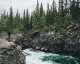 En person står vid en forsande älv bland täta svenska floder. Vatten forsar fram mellan klippor och grönskande skog.
