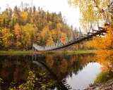 En hängbro över en spegelblank sjö i Lapplands natur, omgiven av höstens gyllene lövträd.