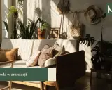 Słoneczny salon boho z wygodną kanapą, mnóstwem roślin i plecionymi dodatkami.