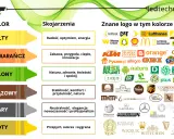 Kolory i ich skojarzenia: żółty (radość), pomarańczowy (zabawa), zielony (natura), brązowy (stabilność), szary (neutralność), złoty (sukces). Wiele znanych marek wykorzystuje te polaczenia kolorow.
