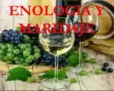 Un tratado de enología sobre el maridaje de vinos y uvas. Copas de vino, uvas verdes y moradas, y un barril de madera.