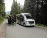 Ile kosztuje Giewont? Bilety TPN, bus, parking pełna kalkulacja