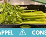 Rappel de consommation : attention, cette botte de céleri pourrait contenir une feuille de céleri toxique.