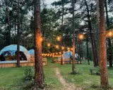 Nastrojowe **glamping w Polsce**. Kopuły mieszkalne w lesie, oświetlone girlandą żarówek.