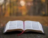 Otwarta Biblia na kamieniu, w tle jesienny las. Wzmianka o św. Marku patronie.