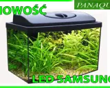 Nowość! Akwarium 60l z bujną roślinnością i oświetleniem LED Samsung. Idealne do stworzenia podwodnego świata.