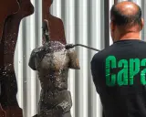 Hombre con camiseta negra con letras verdes "Capa" limpia una estatua de bronce con una manguera a presión.