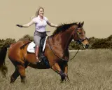 Glückliche Frau lernt reiten, genießt den Ritt auf einem braunen Pferd durch hohes Gras.