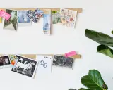 Zwei Holzleisten mit Fotos, Postkarten und Notizen an einer weißen Wand, daneben eine Monstera.