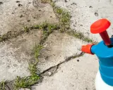 Ein Sprühgerät mit Essig als Unkrautvernichter wird auf Unkraut in Betonritzen gerichtet.