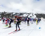 Skidåkare i full fart, redo för dundret runt. En tävling i snöklädda bergsmiljöer med en stor grupp deltagare.