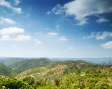 Grüne Hügel und Täler in Monchique, Portugal, unter einem weiten Himmel mit weißen Wolken.