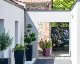 Idée aménagement jardin devant maison : olivier et conifères en pots, passage vers un patio en bois avec hortensias.