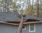 Un arbre est tombé sur un toit, causant d'importants dégâts. Les bardeaux sont arrachés et la structure est visible. Ces dégâts grele témoignent de la violence de l'événement.