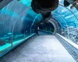 Oceanarium w Łodzi? Odkryj Orientarium ZOO: Tunel, Ceny, Dojazd