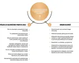 Porównanie spółdzielczego własnościowego prawa do lokalu i odrębnej własności. Różnice w księgach wieczystych, prawach właściciela i możliwościach obrotu.