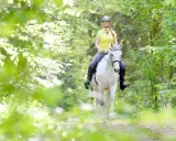 Eine Frau reitet auf einem weißen Pferd durch einen sonnendurchfluteten Wald. Das **Pferd ausreiten** ist ein idyllisches Erlebnis.