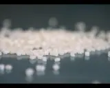 Små vita granulatkorn, råmaterial för nedbrytbara plastpåsar, ligger utspridda på en mörk yta.