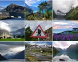 Niesamowite norwegia widoki: góry, fiordy, jeziora, domki, pola fioletowych kwiatów i znak trolla.
