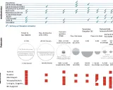 Übersicht über Flexibilitätsmechanismen und Potenziale im **energy market**. Zeigt verschiedene Optionen wie Power-to-Gas, Speicher und Demand Side Management.
