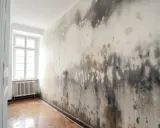 Ściana z pleśnią i grzybem, przypominająca obraz z ostrzeżeniem o lewatywa przeciwwskazania.
