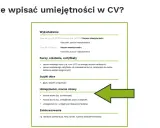 Umiejętności w CV: Jak wyróżnić się na rynku pracy? Praktyczny poradnik