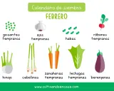 Calendario de siembra de febrero: guisantes, ajos, habas, rábanos, hinojo, cebollinos, zanahorias, lechugas y berenjenas.