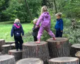 Barn i skogen leker på stubbar. En flicka i lila overall balanserar på en hög stubbe, medan andra barn tittar på eller klättrar.
