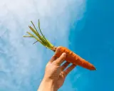 Mano sostiene una zanahoria contra el cielo azul. La zanahoria es un símbolo de salud, ideal para el embarazo.