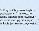 3. Krzyżu Chrystusa, bądźże pochwalony, na wieczne czasy bądźże pozdrowiony! Z Ciebie moc płynie i męstwo, w Tobie jest nasze zwycięstwo!