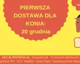 Suchy chleb dla konia: Przysmak czy ukryte niebezpieczeństwo?
