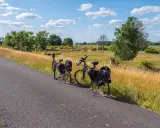 Dwa rowery z sakwami czekają na podróż po malowniczych ścieżkach rowerowych zachodniopomorskich, wśród pól i drzew.