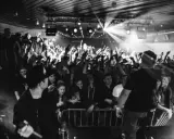 Koncert pro8l3m art brut 2 utwory. Tłum szaleje, artyści na scenie, światła i dym tworzą niepowtarzalny klimat.
