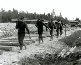 Rallarna i Sverige bär tunga stockar för järnvägsbygge.