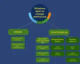 Schemat składników opłat za energię elektryczną, np. w taryfie C11 Enea. Podział na "TOWAR" i "DYSTRYBUCJĘ".