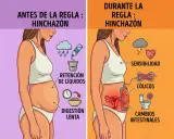 Antes de la regla, me siento hinchada por retención de líquidos y digestión lenta. Durante la regla, la hinchazón se acompaña de sensibilidad, cólicos y cambios intestinales.