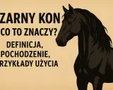 Czarny koń: Kto to jest? Odkryj prawdziwe znaczenie frazeologizmu.