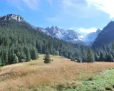 Piękny widok na Tatry, idealny na spacer. Jak dojechać do Doliny Kościeliskiej? Szlakiem przez las i łąki.