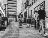 Street fotografia in bianco e nero: una donna con un vestito floreale passeggia con un cane, mentre altri camminano sullo sfondo.