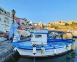 Barca bianca e blu ormeggiata, con bandiera "Pesca Turismo Isola di Procida". Case colorate sullo sfondo.