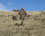 Myśliwy w kamuflażu i pies tropiący w suchych trawach. Przygotowanie do survivalu w lesie.