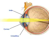 Diagramma occhio umano: luce solare entra da cornea, cristallino, iride, focalizza sulla retina. Quanti megapixel ha l'occhio umano?
