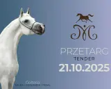 Stadnina Nowe Jankowice przetarg: Cała na sprzedaż? Sprawdź!