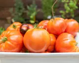 Un assortiment de tomates rouges, dont une tomate ananas rouge, dans un plat blanc.